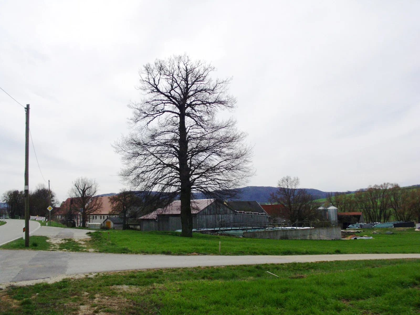 Lengenfeld
