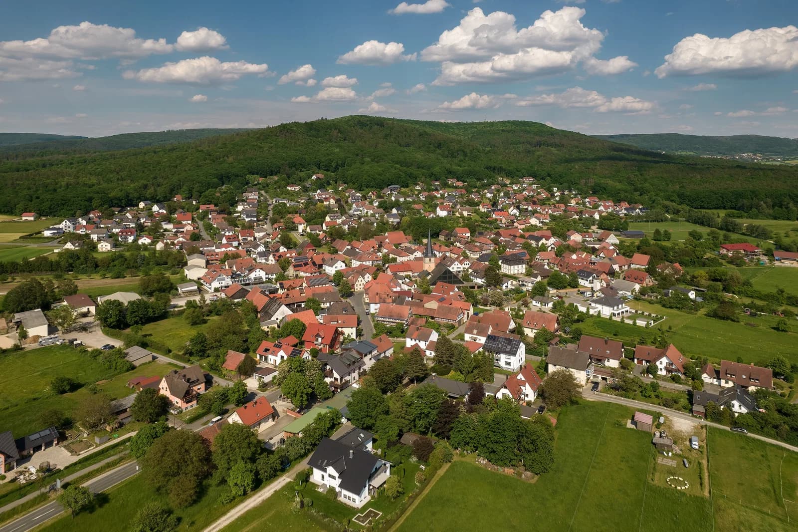 Geisfeld