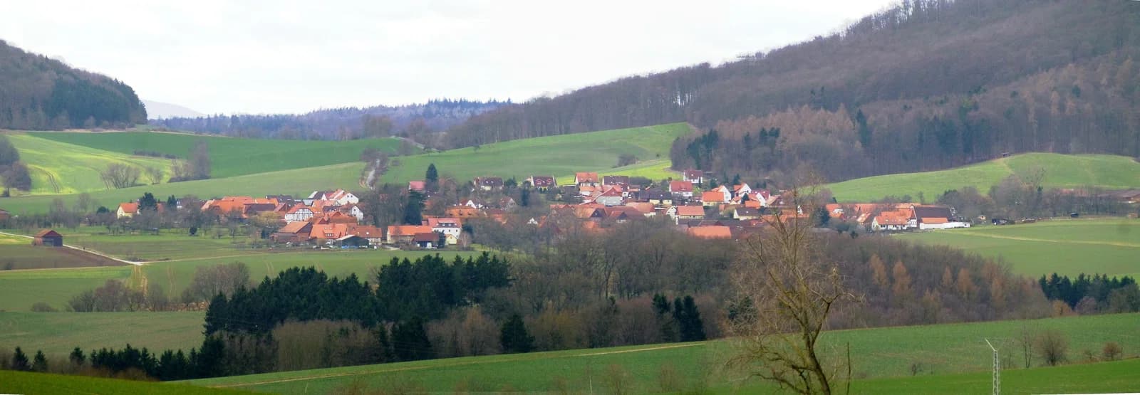 Gelliehausen