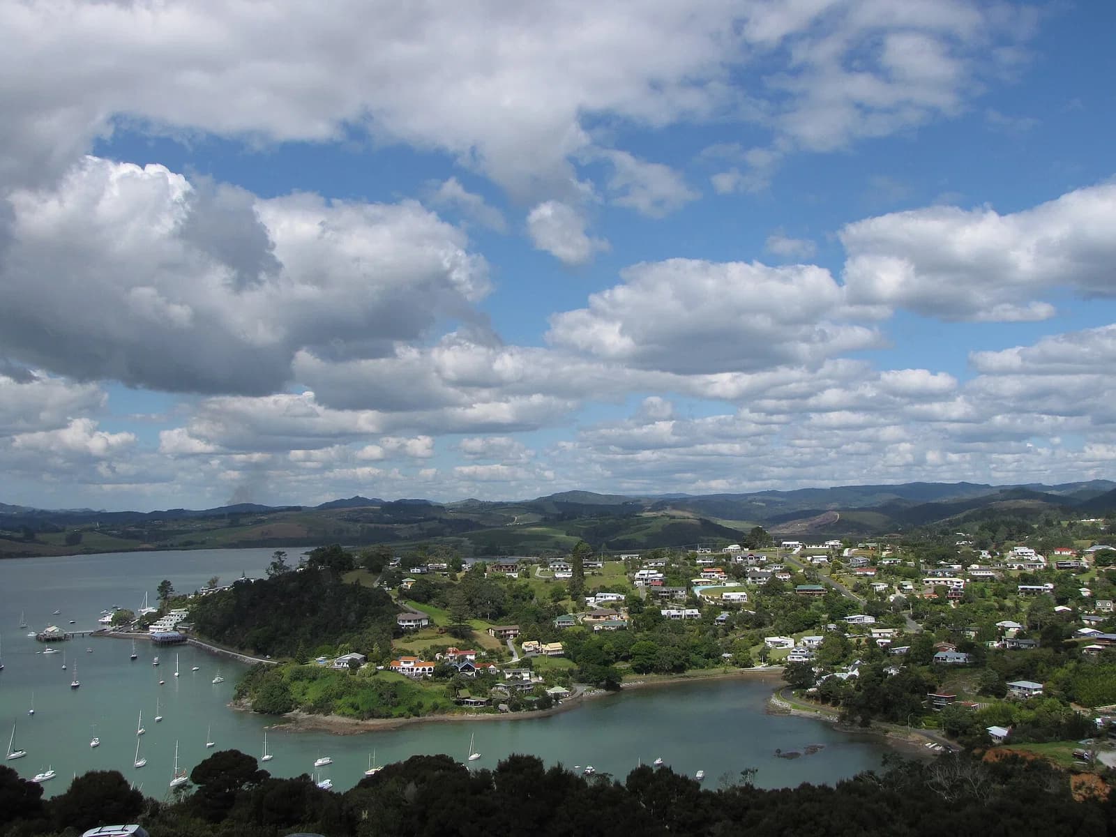 Mangonui