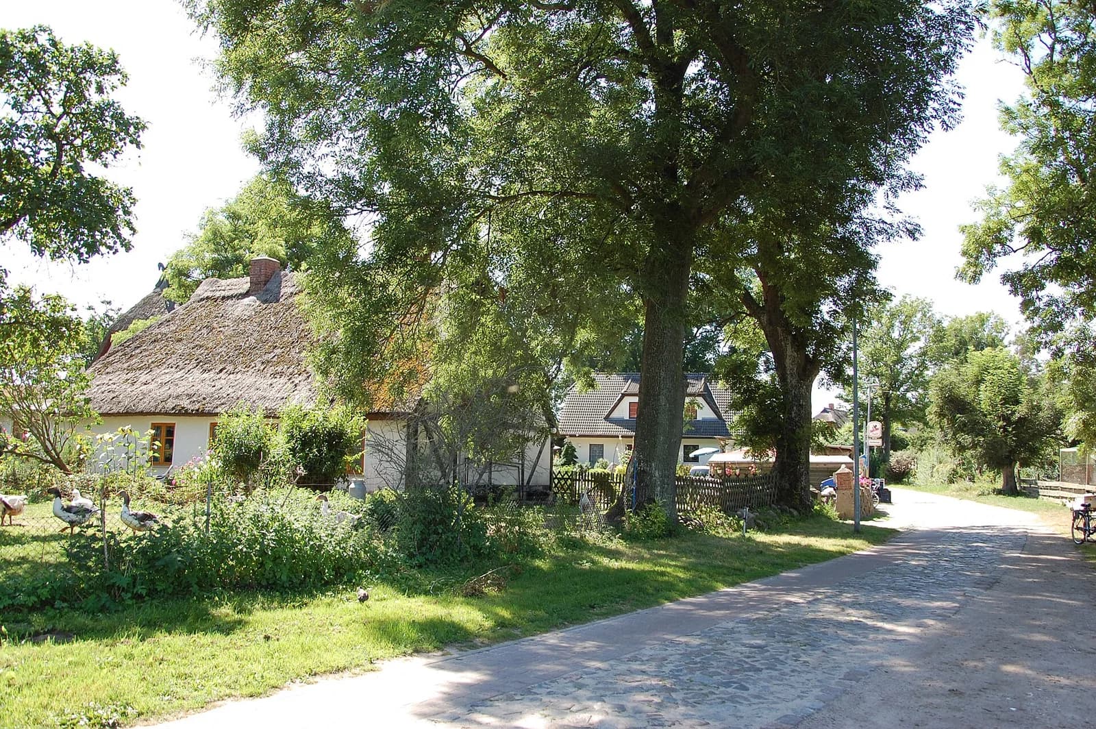 Preetz