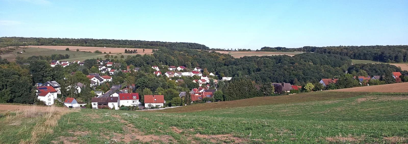 Zell