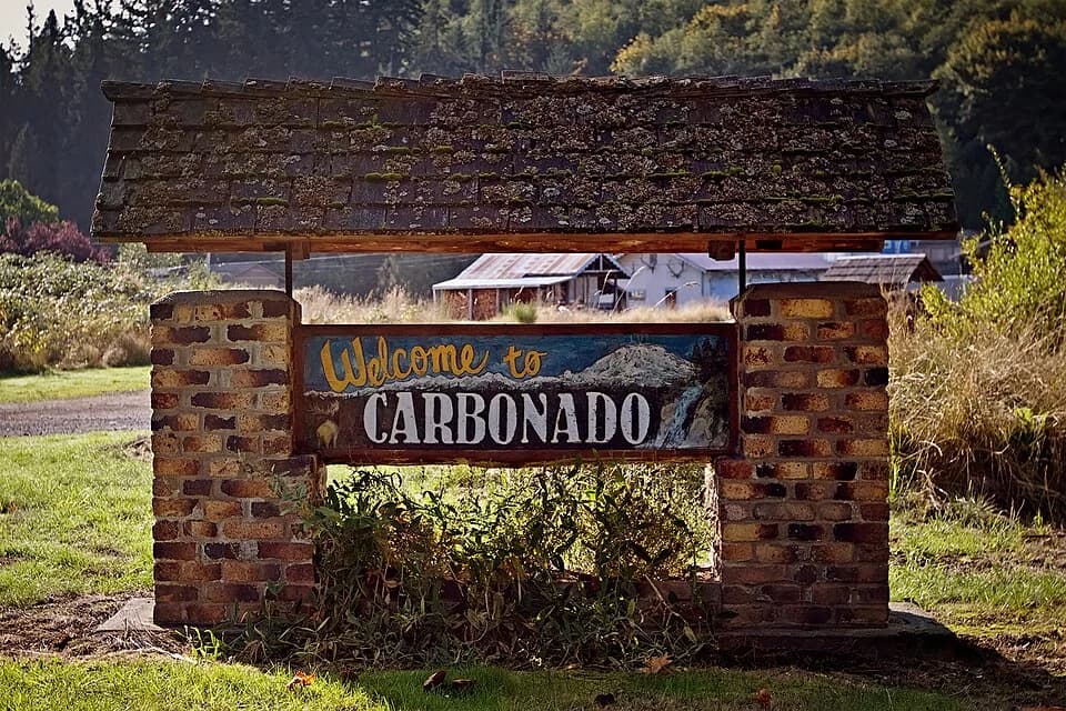 Carbonado
