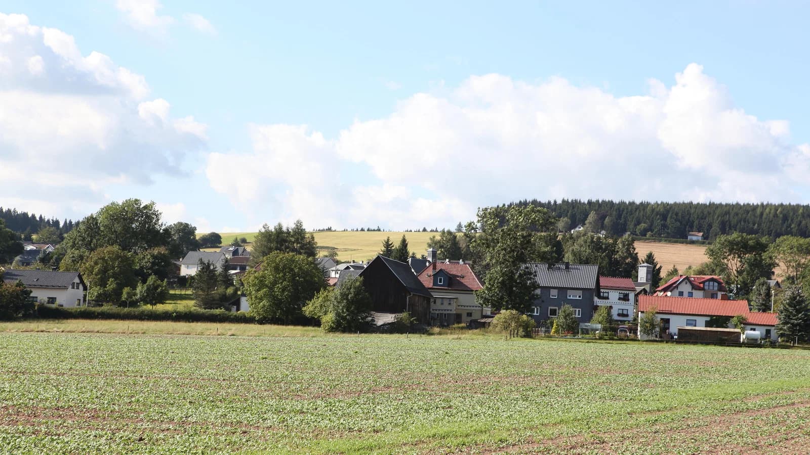 Jagdshof
