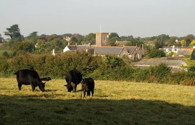 Churston Ferrers