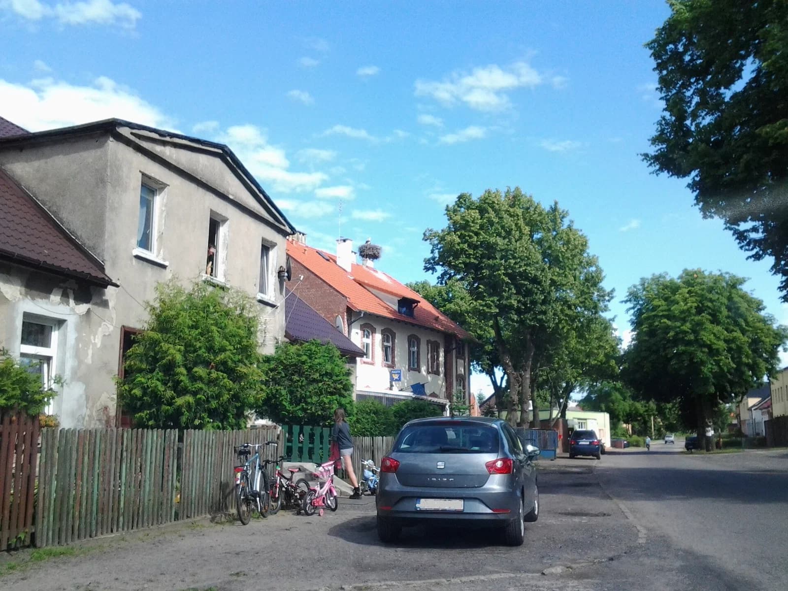 Dolice