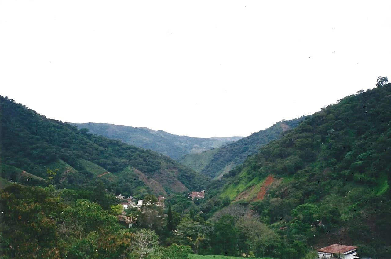 Salgar
