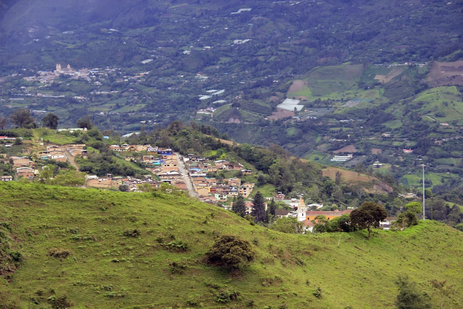 Fomeque