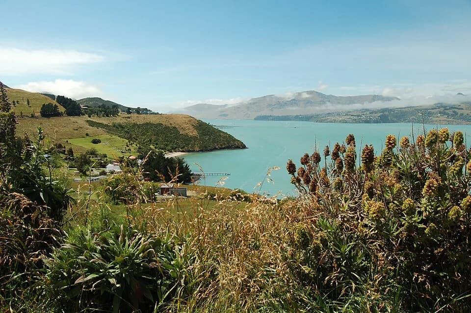 Te Rāpaki-o-Te Rakiwhakaputa