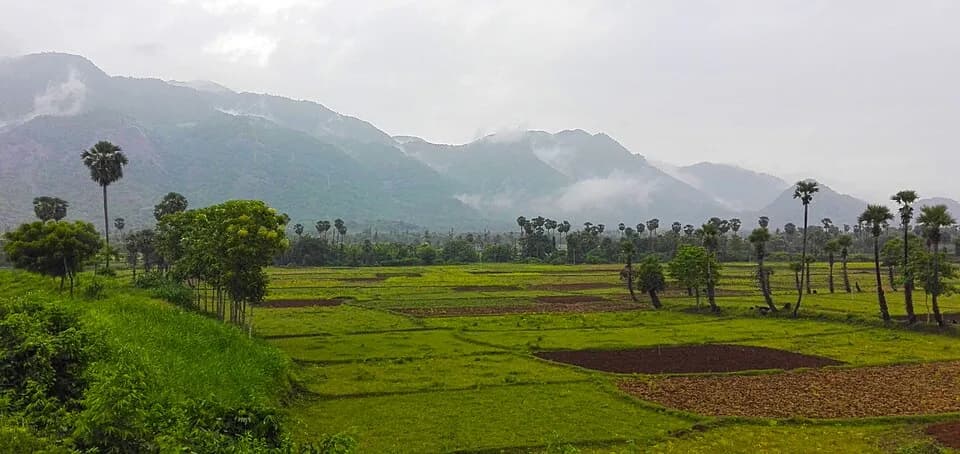 Vizianagaram district
