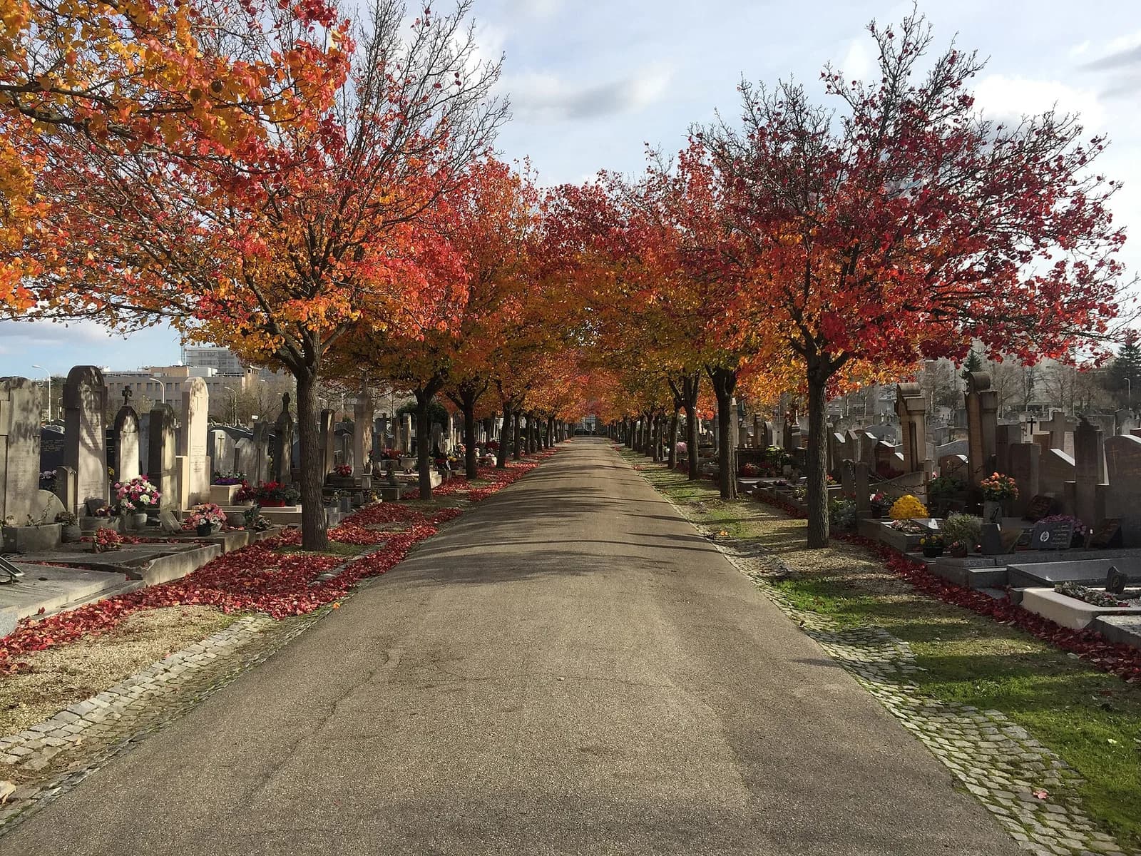 Friedhof Croix-Rousse