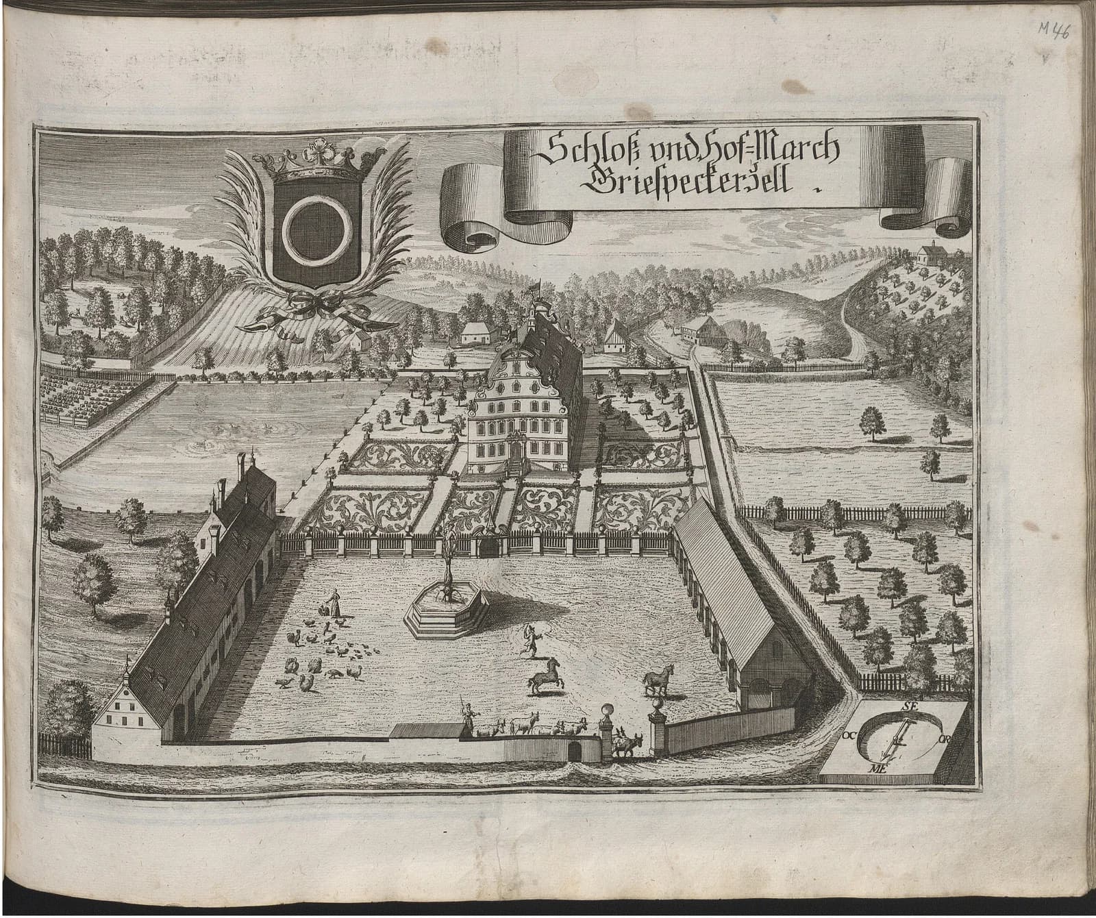 Griesbeckerzell
