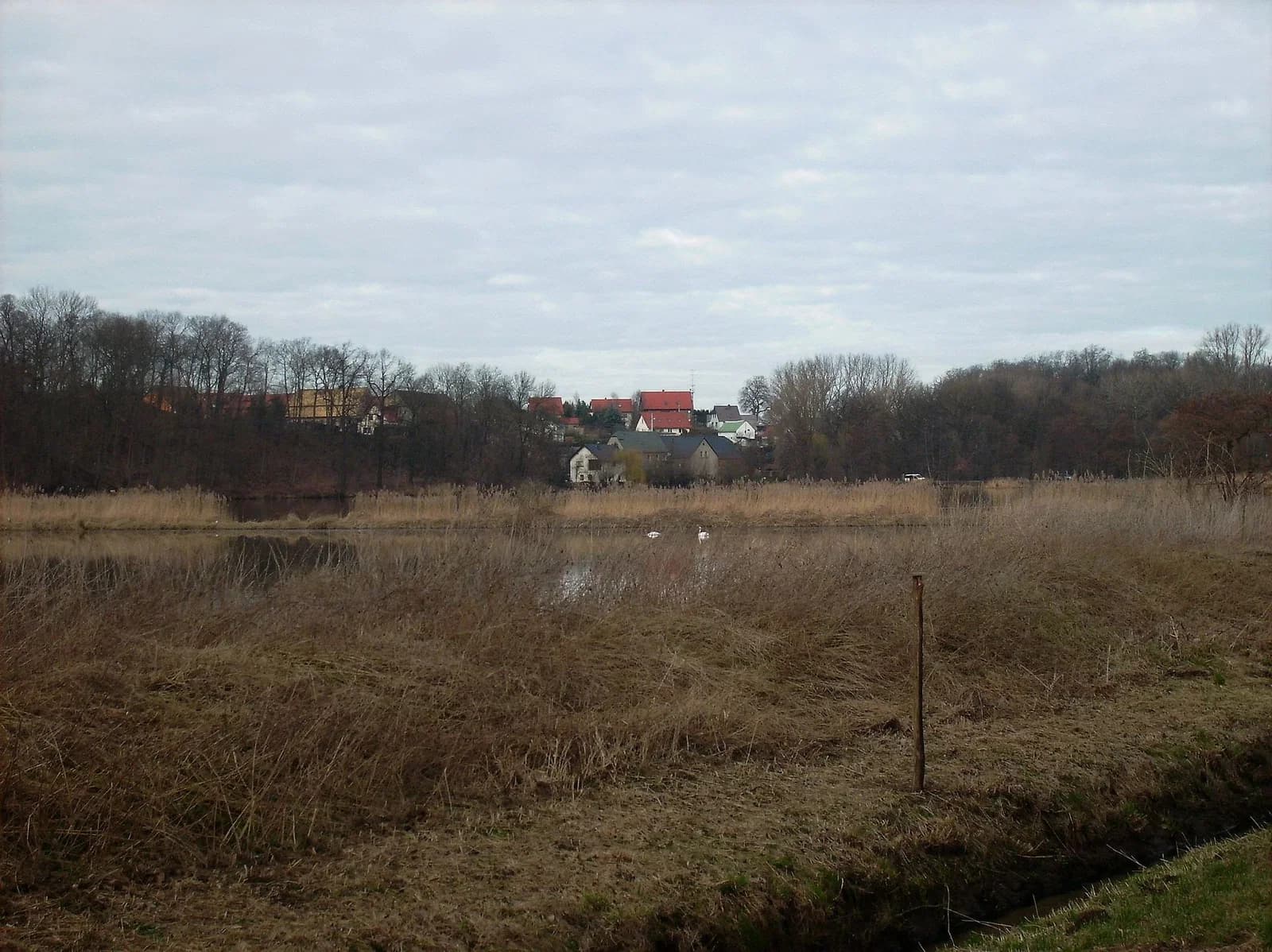 Groitzsch