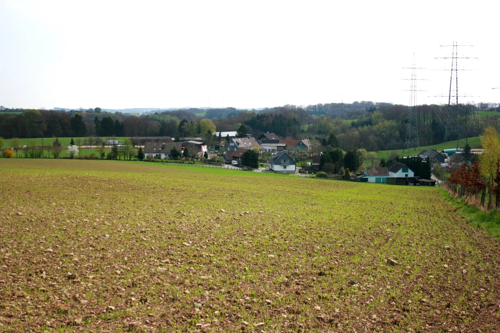 Großsporkert