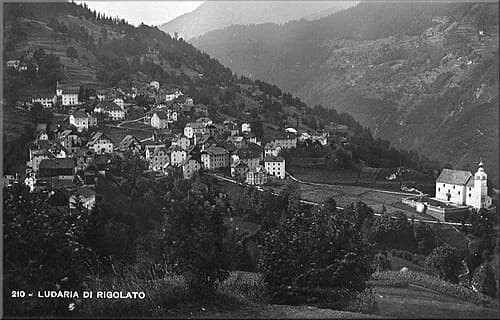 Ludaria