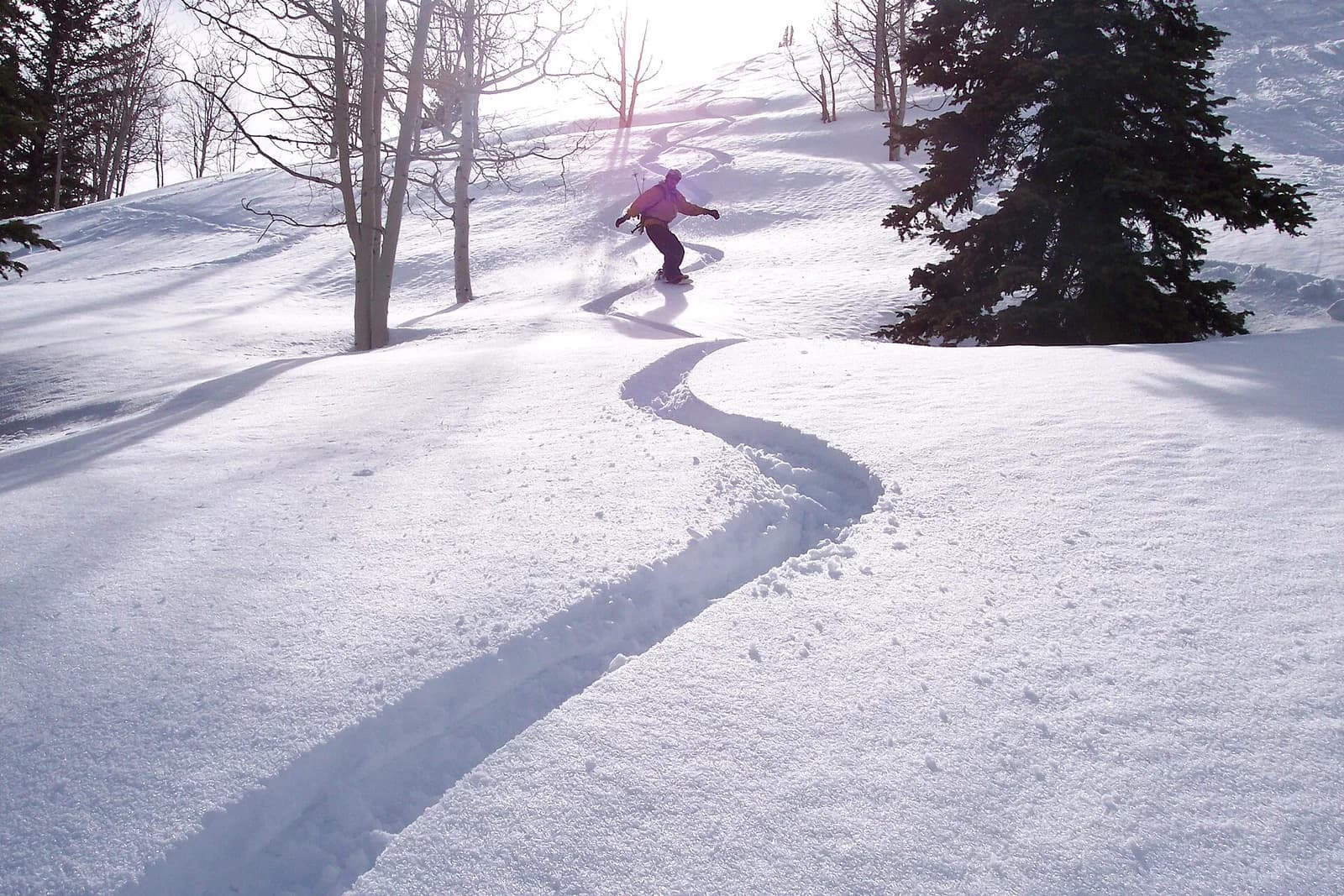 Snowboarder