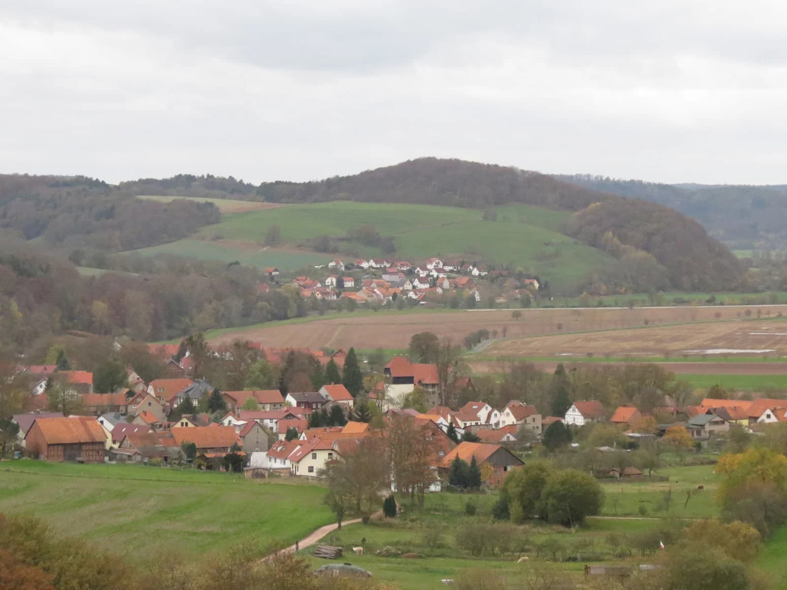 Neuenhof