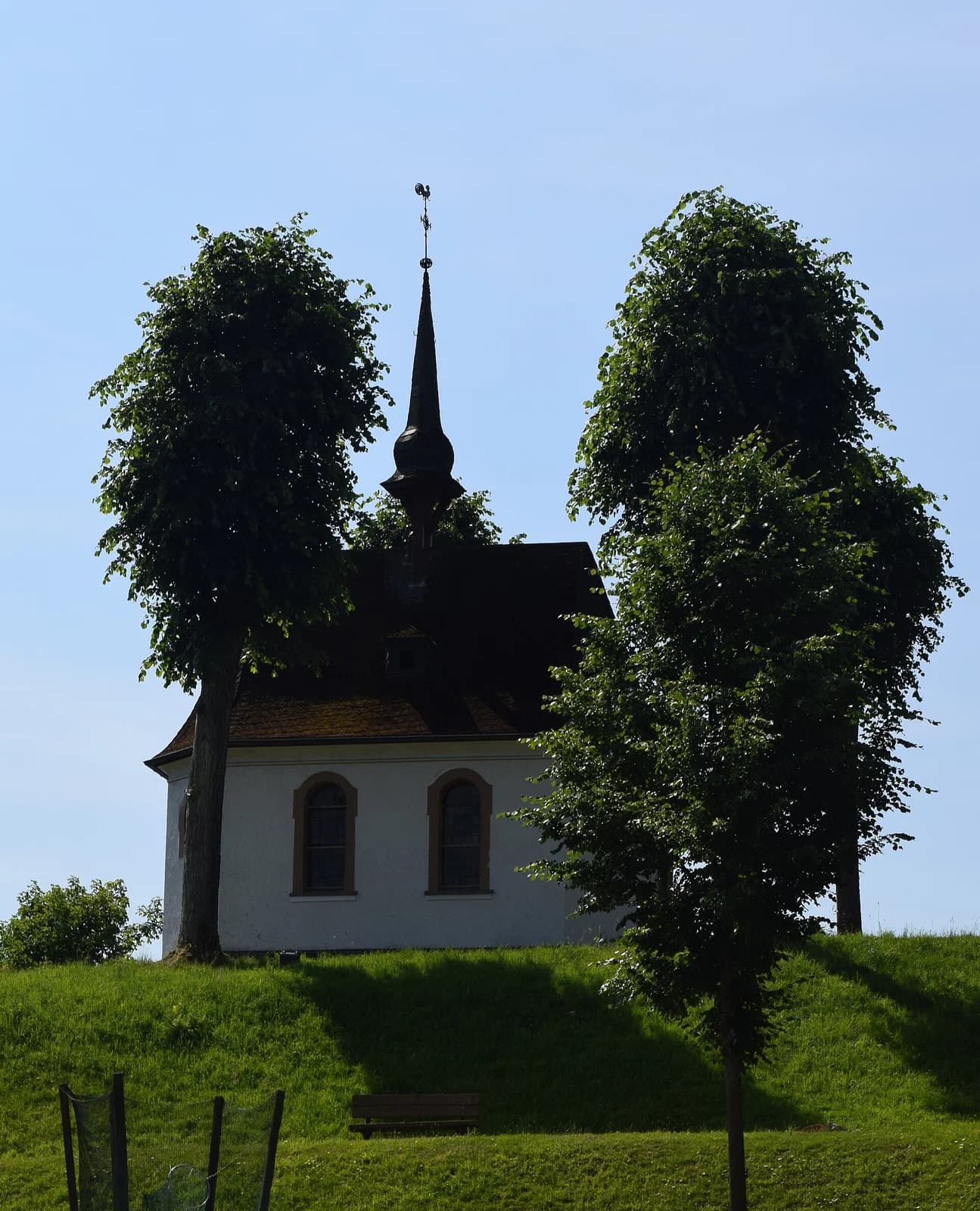 Hanemicke