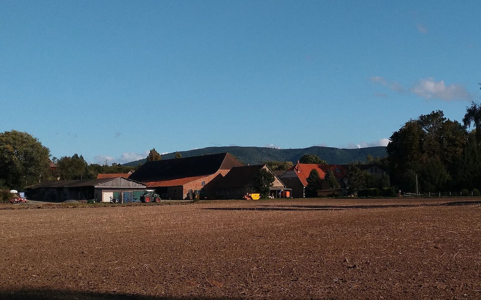 Gut Radau
