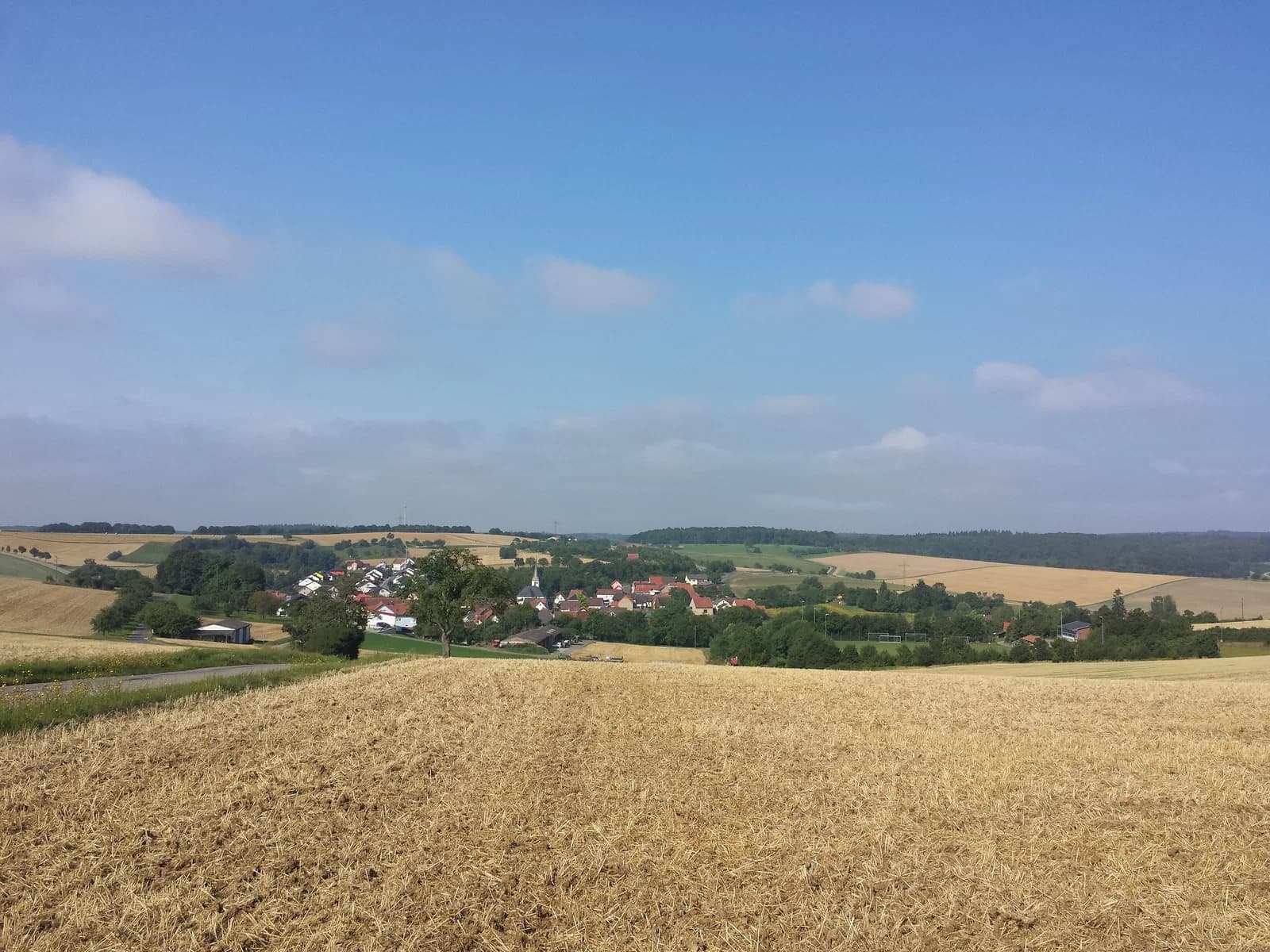 Heckfeld