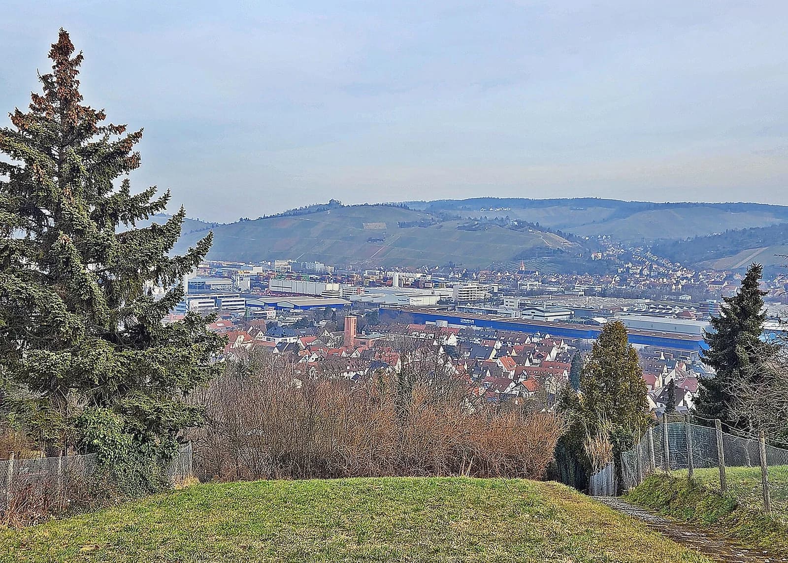 Hedelfingen