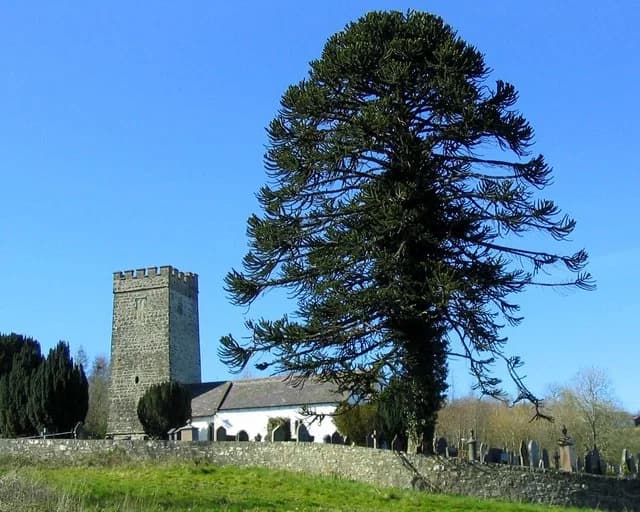 Llanwenog