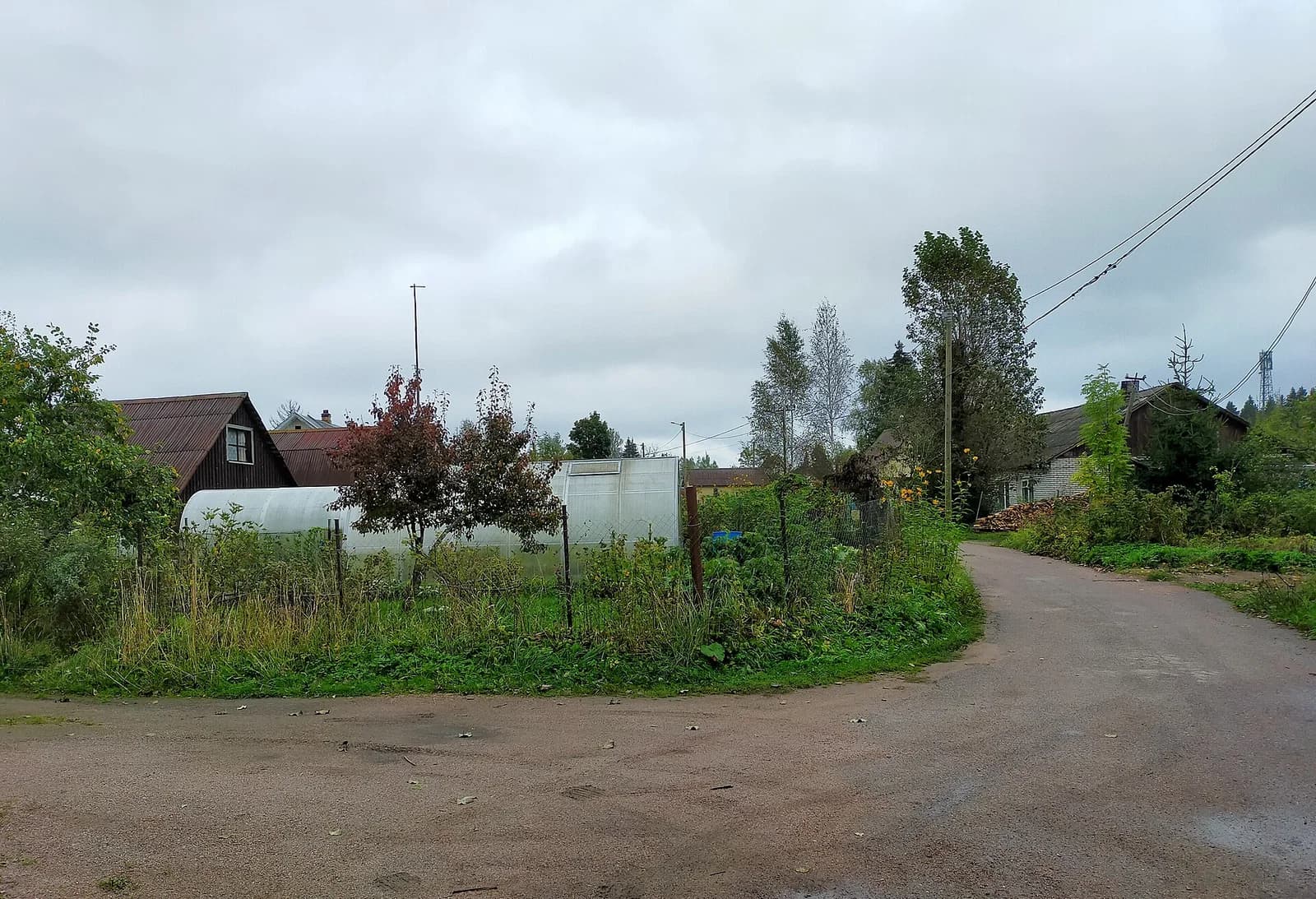 Kannelyarvi