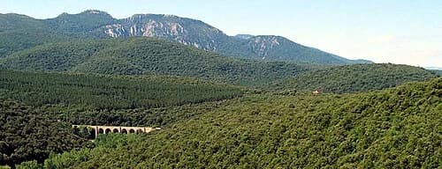 Arquijas