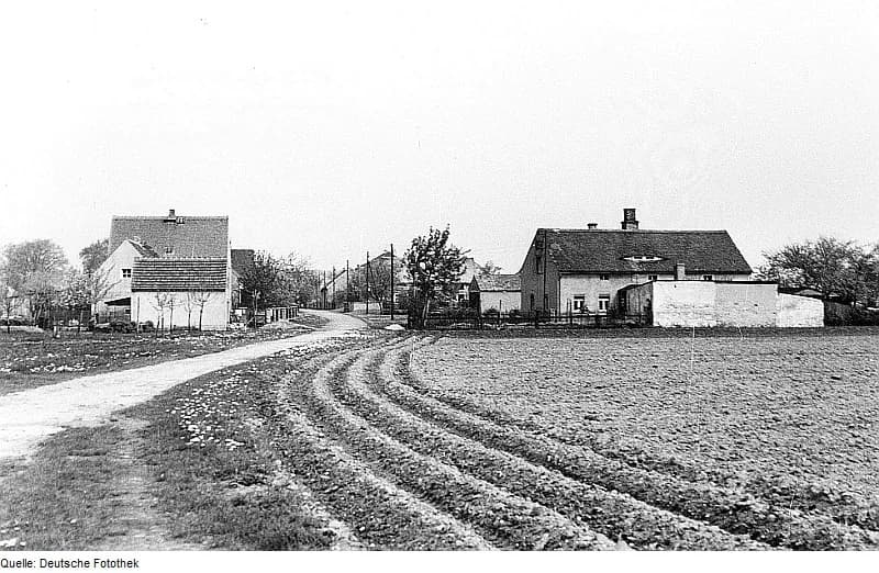 Zschornau-Schiedel