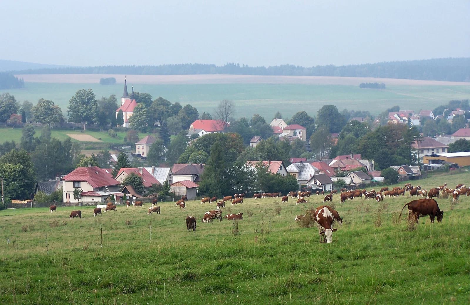 Herálec