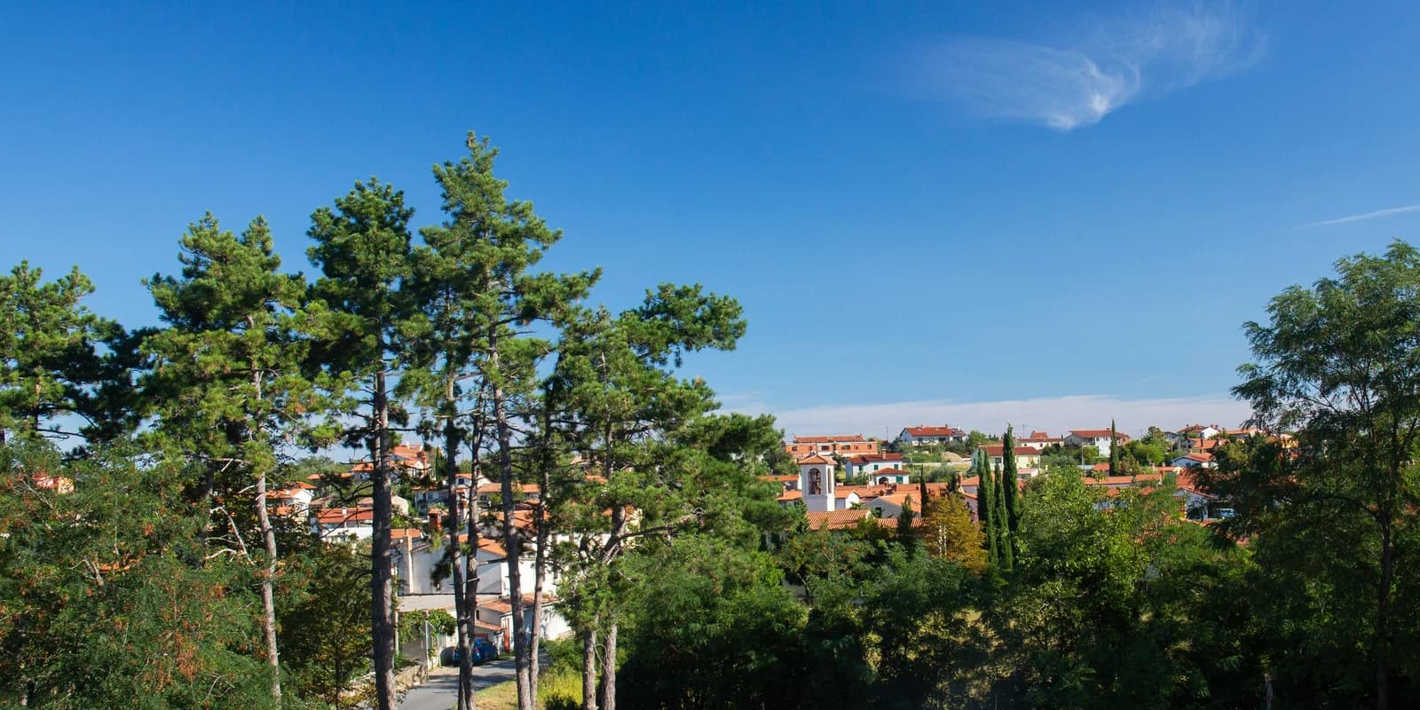 Gažon