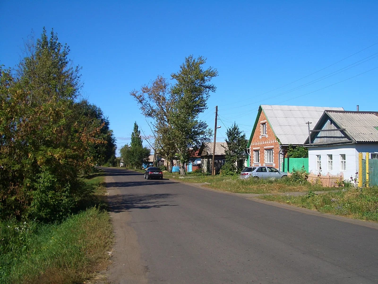 Tscherlak