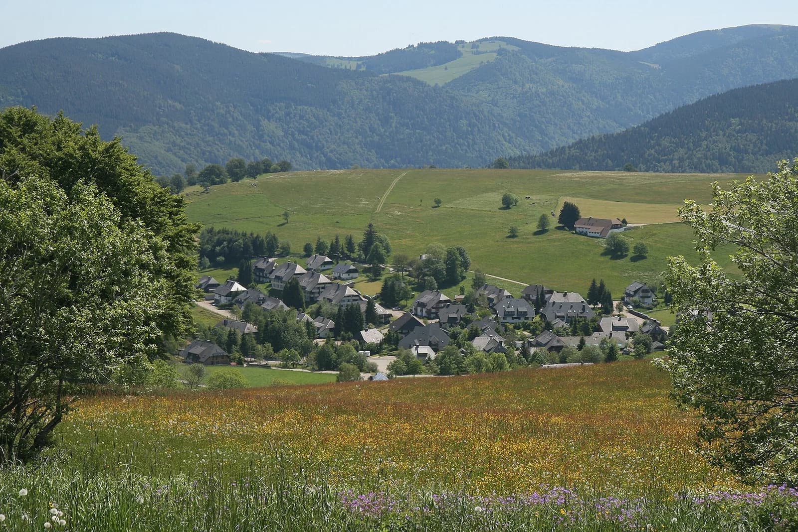 Hofsgrund