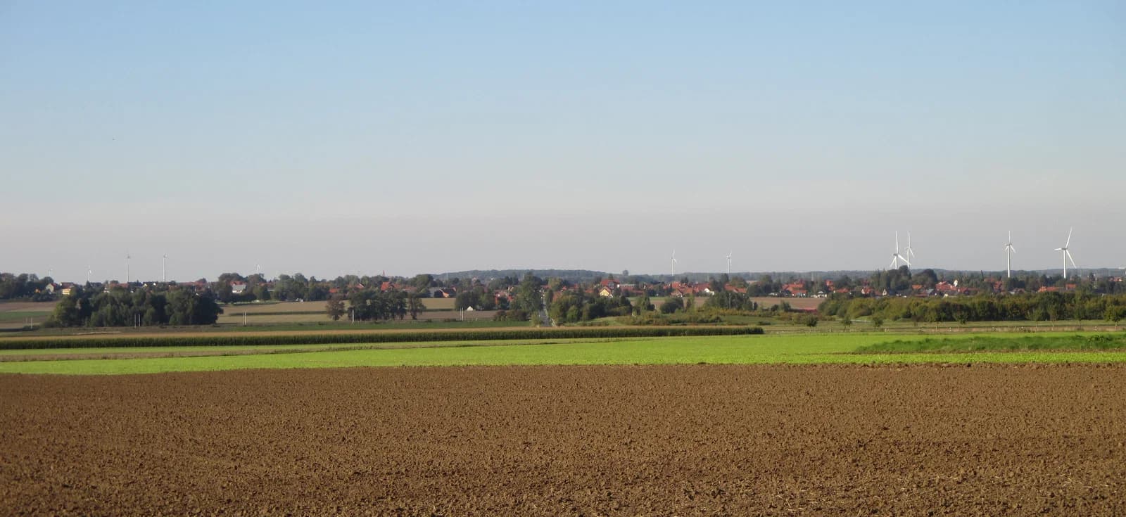 Hoheneggelsen