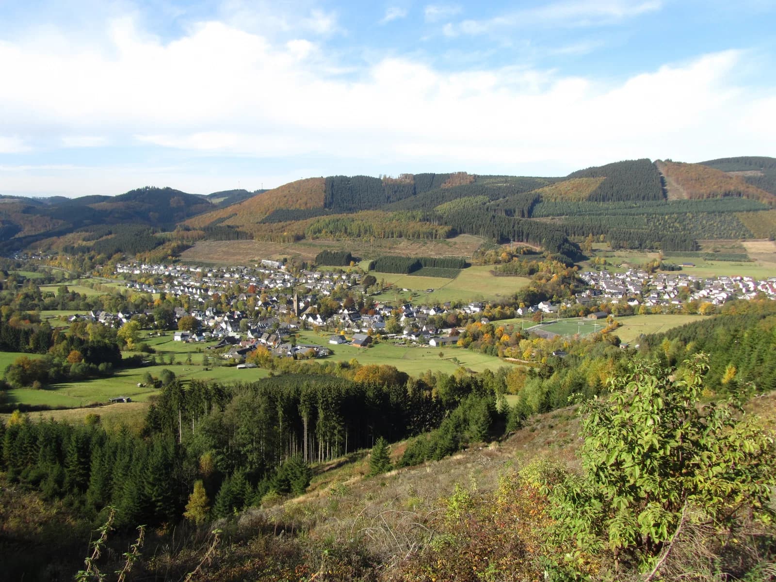 Saalhausen