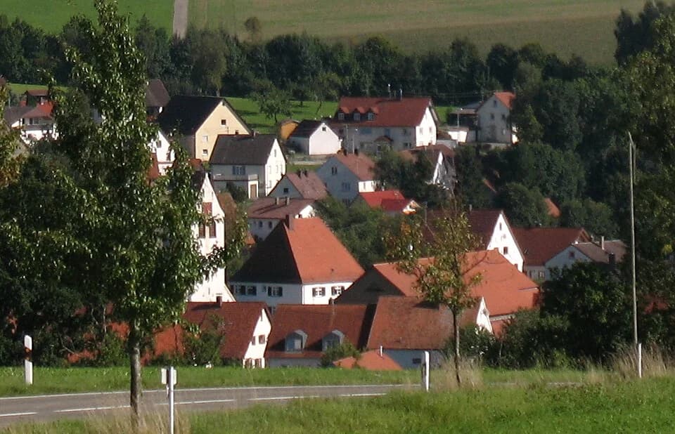 Ringschnait