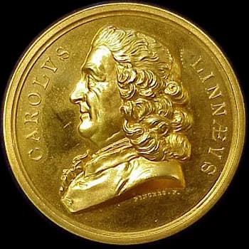 Linné-Medaille