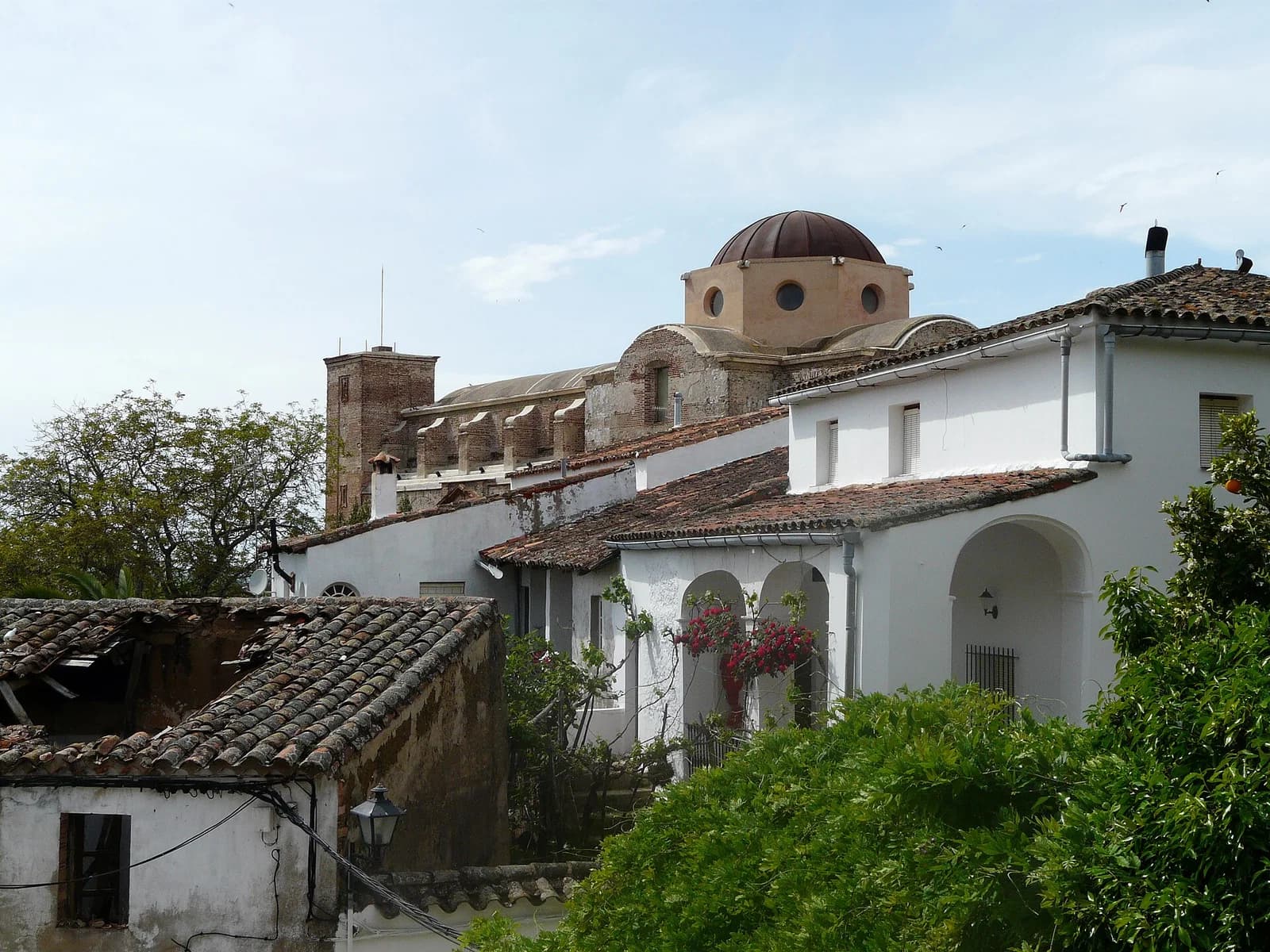 Castaño del Robledo