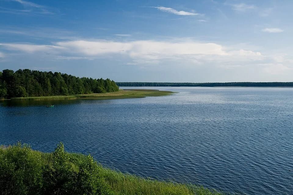 Miadziel District