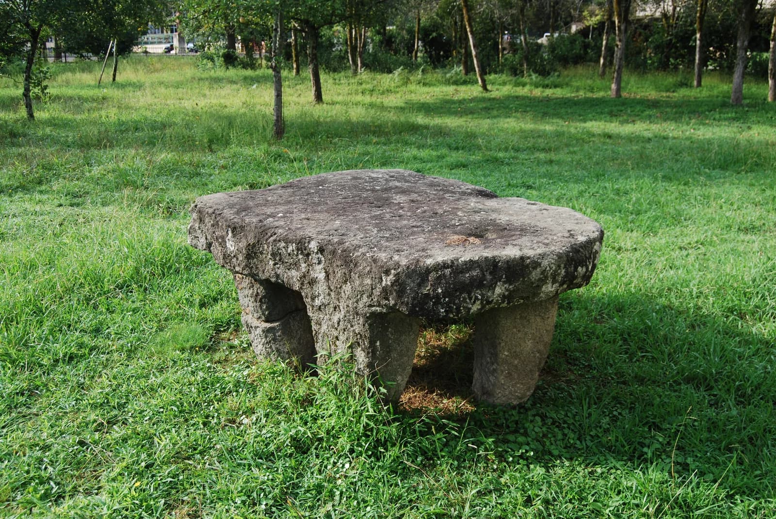 Chanieti