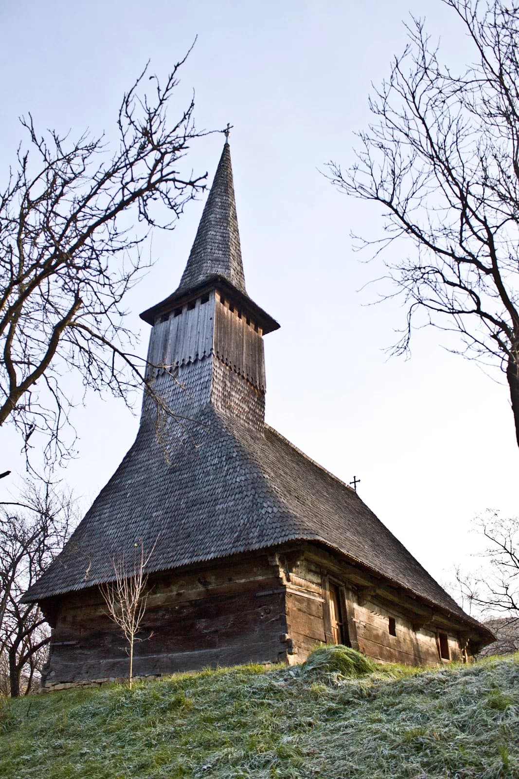 Gârbou