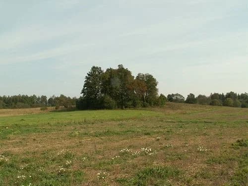 Anužiai