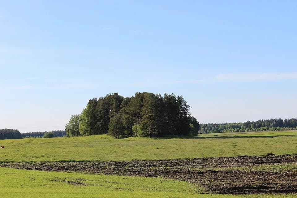 Bugailiškiai