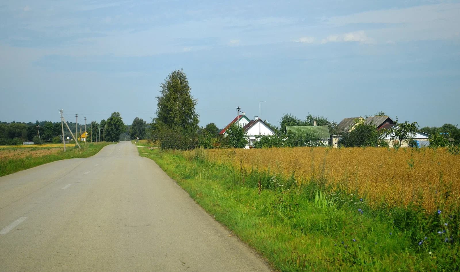 Butrimoniai