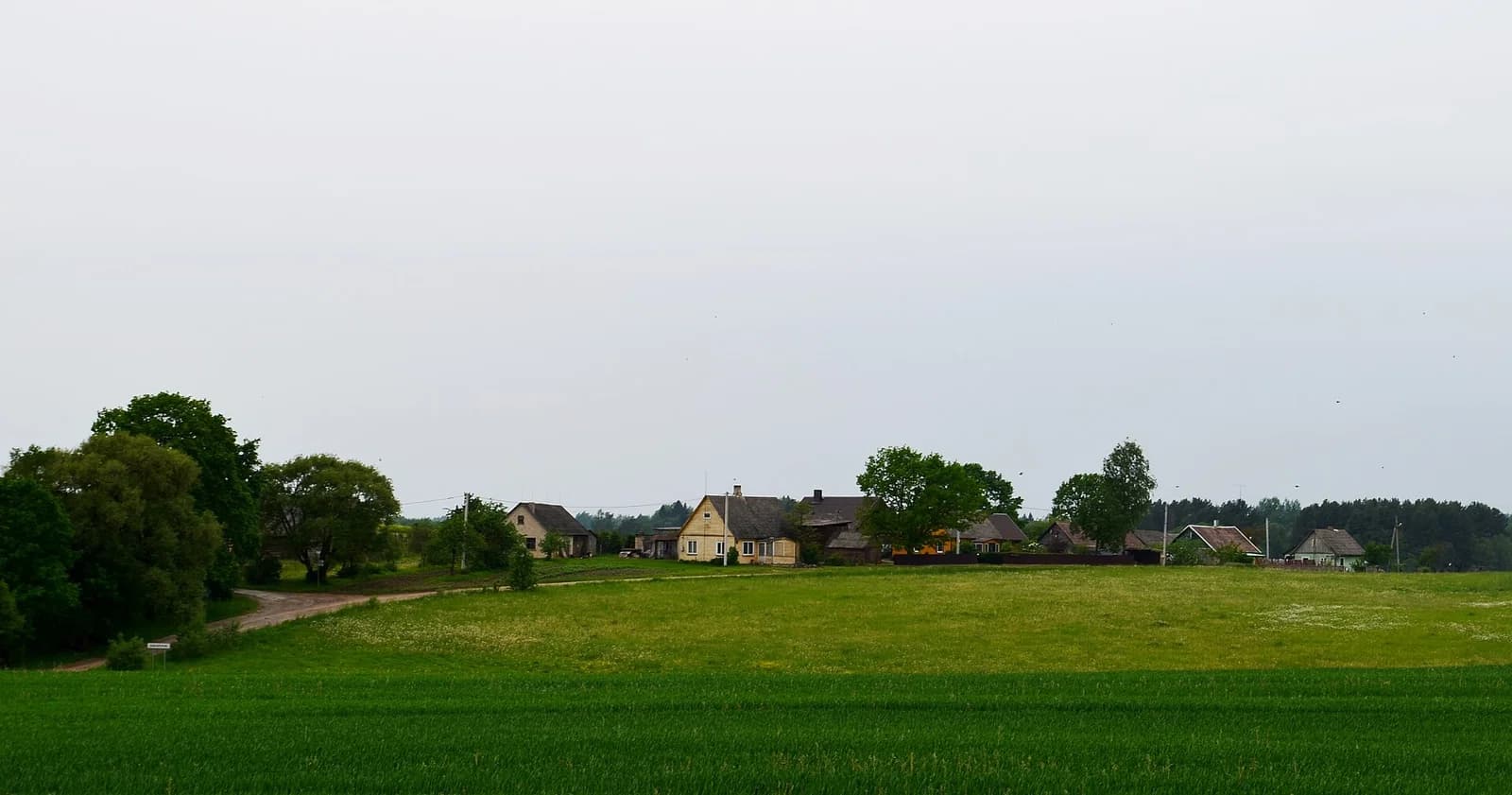 Dauderiai