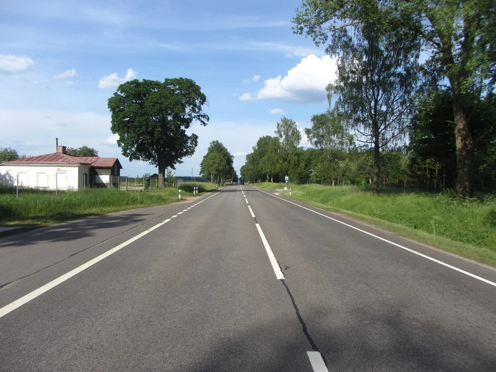 Gegutė