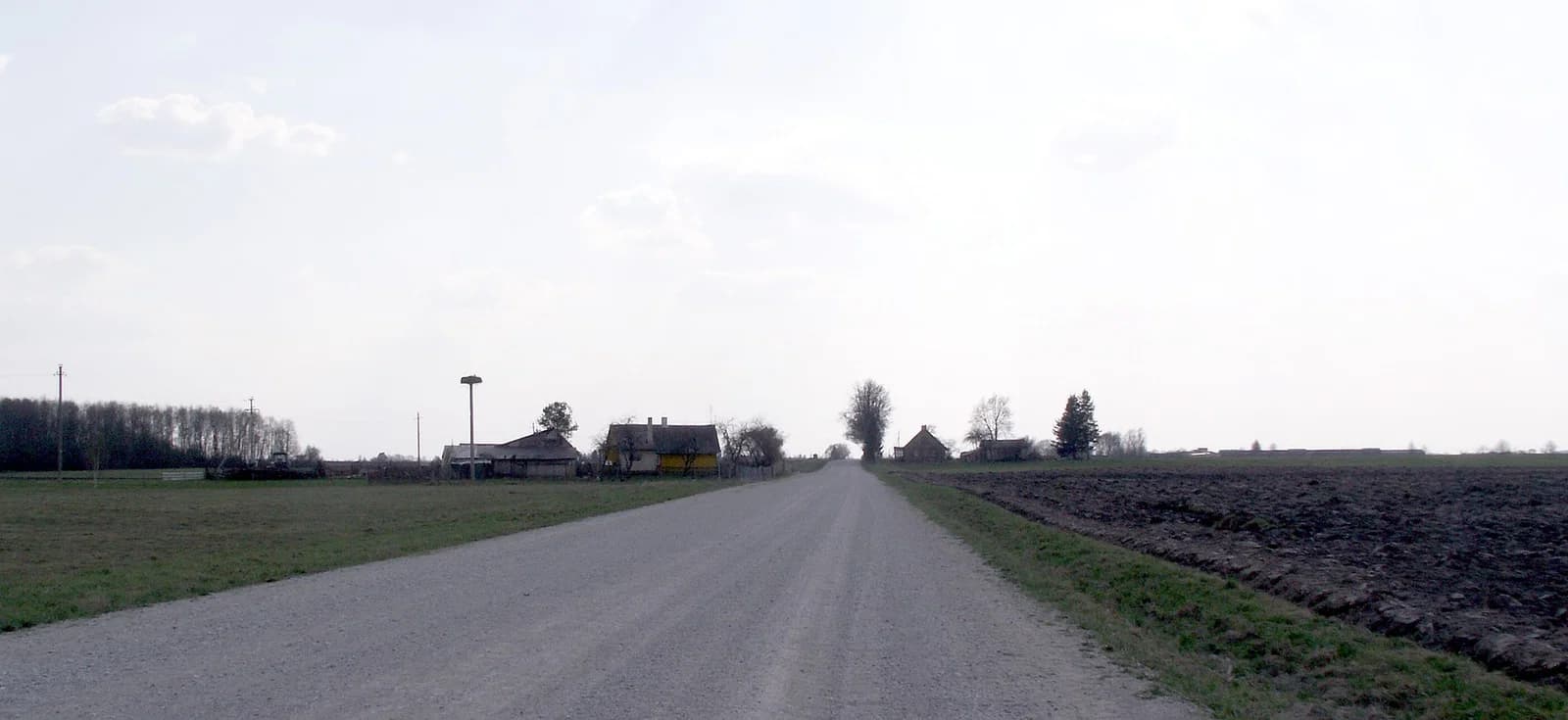 Juodžioniai