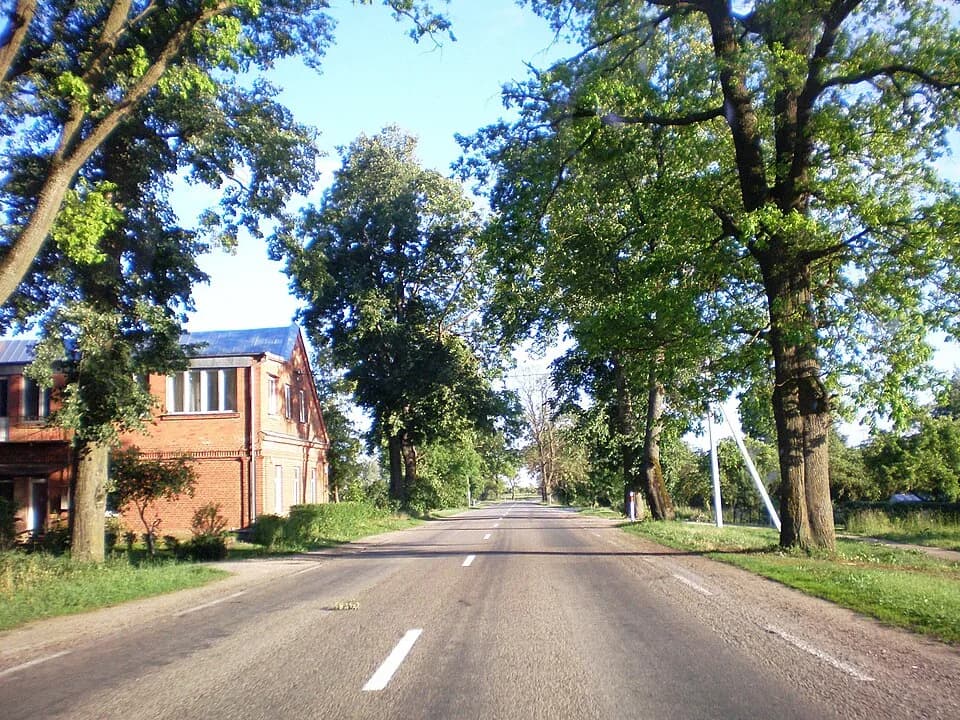 Klausučiai