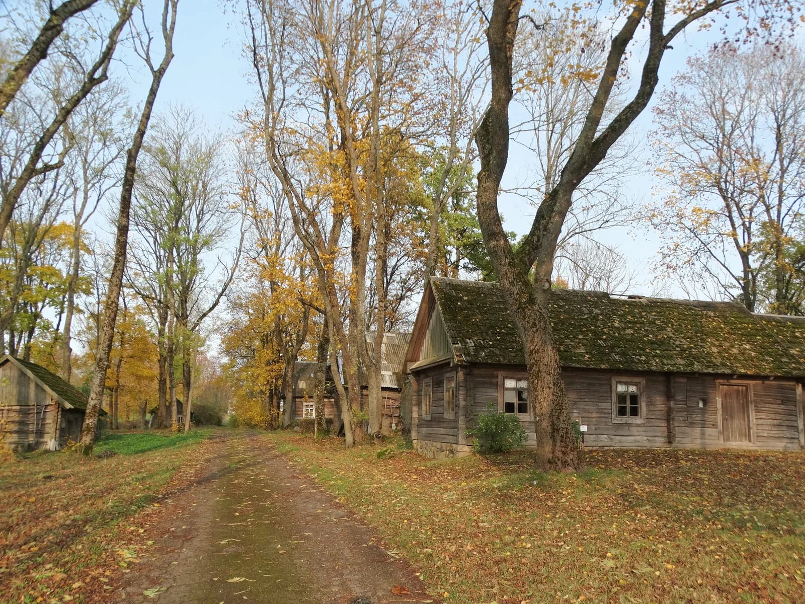 Maleišiai