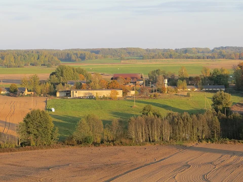 Nečionys